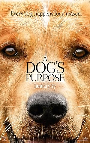 A Dog's Purpose (2017) – Watch Online &amp; Download | Full movie