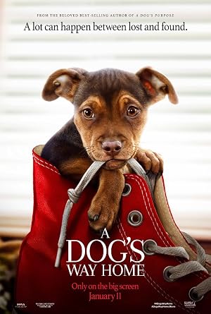 A Dog's Way Home (2019) – Watch Online &amp; Download | Full movie
