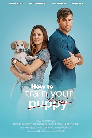 How to Train Your Husband or (How to Pick Your Second Husband First) (2018) – Watch Online &amp; Download | Full movie