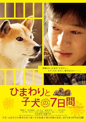 Seven Days of Himawari and Her Puppies (2013) – Watch Online &amp; Download | Full movie